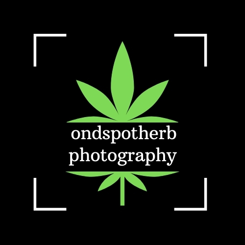 photographer img